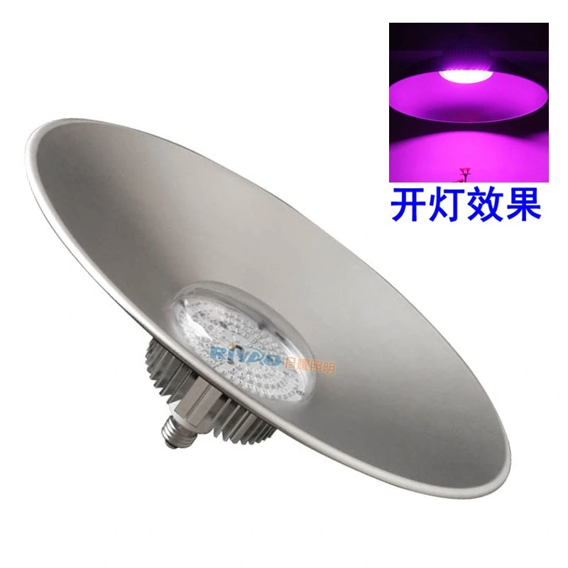 大棚草莓补光灯webp800-2.webp